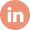 Orange LinkedIn icon